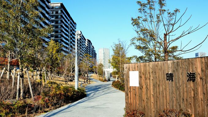 晴海フラッグがあえて「未完成」のまま「まちびらき」したワケ