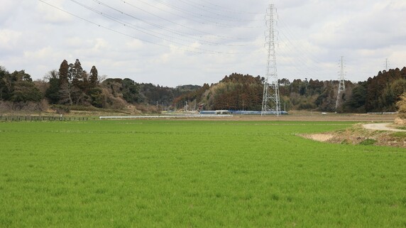 地方の実家・不要な山林を相続してしまい、絶望…「相続土地国庫帰属制度」で「不要な土地を手放す」ことは可能か？【司法書士が解説】