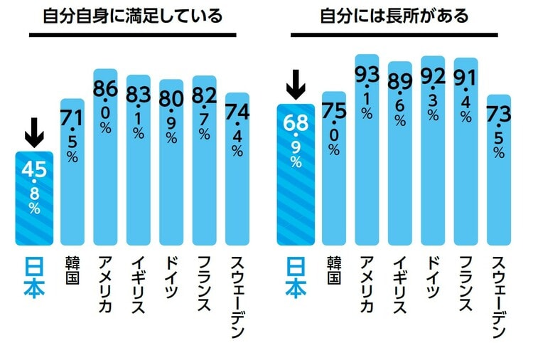 （出所）内閣府ホームページ［平成25年の調査］