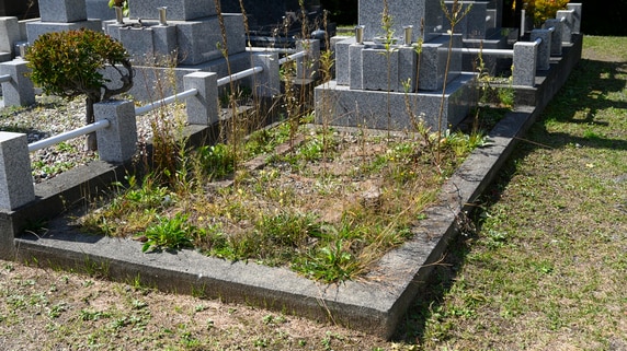 【目安は1㎡あたり10万〜15万円】知らずに始めると大誤算？ 地方と都市部で大きく変わる「墓じまい」のリアルな費用と手続きの落とし穴