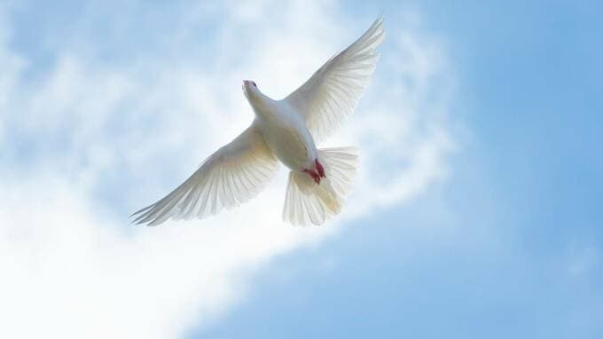 「いずれ来る死」を前に…豊かな心で自由に過ごす秘訣