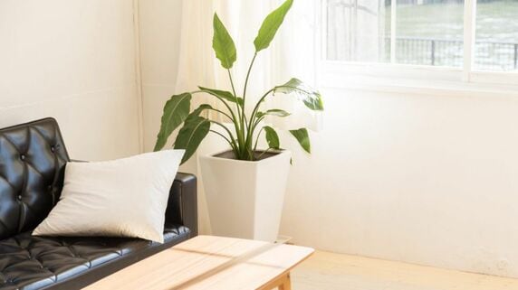 不動産の「ワンルーム（1R）」とは？「ワンルーム投資」のメリットや注意点をFPが解説