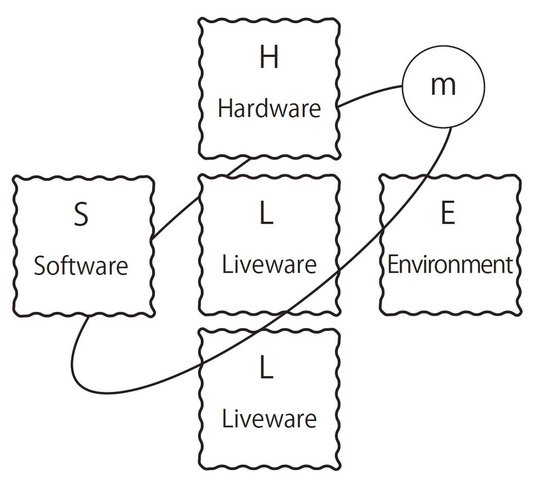 ①S：Software=マニュアル、手順書、基準書、教育用資材など ②H：Hardware=機械、器具、装置の設計、掲示板、それぞれの設備の配置など ③E：Environment=作業環境、作業特性、作業を行う場の雰囲気など ④L：Liveware=関係する人、職場の上司、職場の同僚・仲間など ⑤L：Liveware=中心で活動を行う人（本人） ⑥m：management=マネジメント