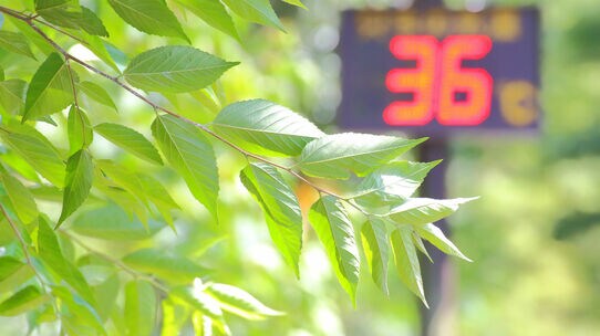 全国36地点で猛暑日 富山36.9度、都心は32度 猛暑関連銘柄は・・・