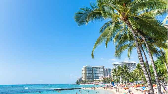 留学先レポート――米国・ハワイ①