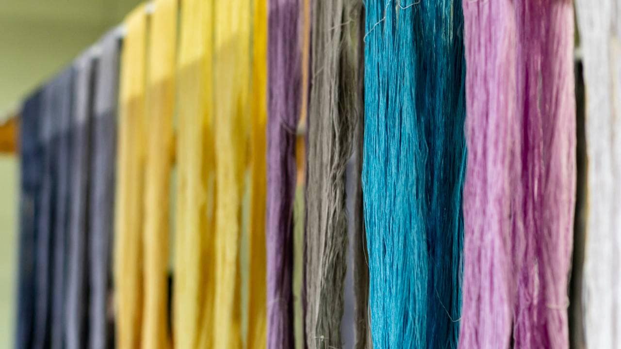 人間国宝（染色・織物）が語る植物の不思議…「桜の花びらからピンクの染料はとれない」 幻冬舎ゴールドオンライン