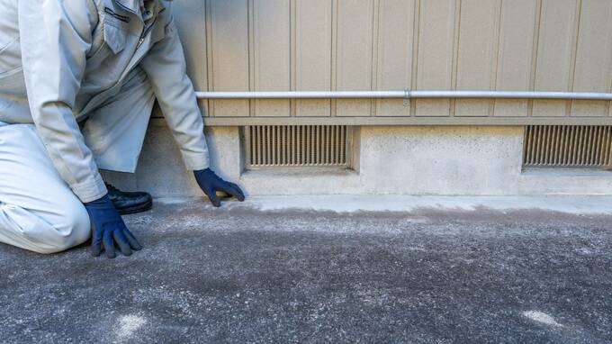イヤーッ！室内にビッシリと虫が…コンクリート造の建築物に「シロアリ被害」発生の驚愕