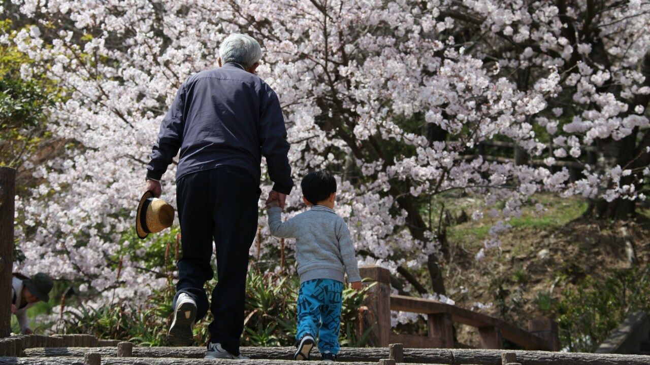 相続発生直前でも有効な節税策 孫への「教育資金一括贈与」