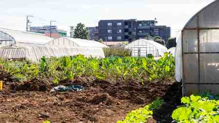 （※画像はイメージです／PIXTA）