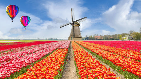 農業の研究開発とイノベーションが進む…オランダ経済の概況