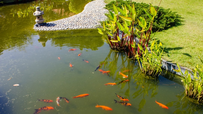 相続は「駅伝」!? 資産を次世代につなぐためのポイント