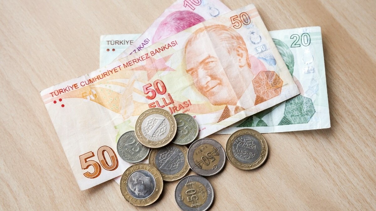 独裁者エルドアン大統領の暴挙でトルコリラ/円大暴落…底値「12円」更新か？ | ゴールドオンライン