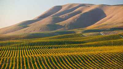 ※画像はイメージです／PIXTA