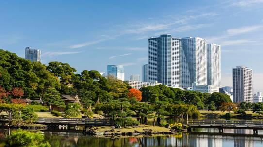 なぜ「タワーマンション購入」が相続対策になるのか?
