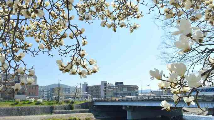 「工業製品の攻勢」「バブル崩壊で注文の3分の1が喪失」…創業150年の「老舗」が度重なる試練を乗り越えられた理由