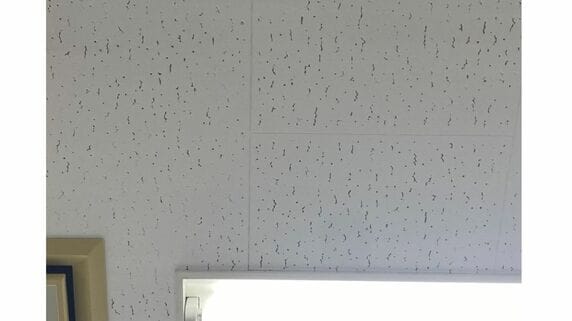 際限なくお金は増えていきます…通帳残高3億円の〈68歳元銀行員の女性〉数千円をケチった末路が、「天井の点々の数」を数えるしかやることがない老後【FPの助言】