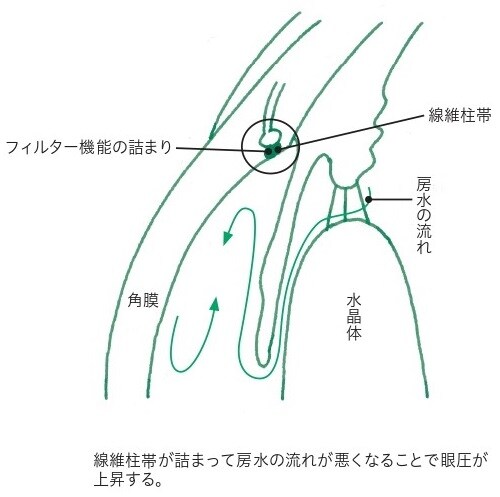 出所：平松類著『自分でできる！人生が変わる緑内障の新常識』（ライフサイエンス出版）
