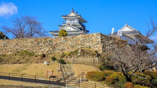 信玄はやっぱり強かった!「籠城か、野戦かの大決断」三方ヶ原で徳川家康31歳の大敗北