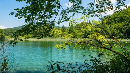 (※画像はイメージです/PIXTA)