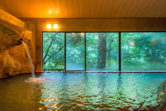 出所：『全国温泉大全: 湯めぐりをもっと楽しむ極意』（東京書籍）より抜粋