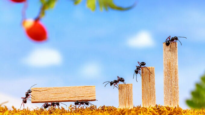 働き方改革に関するお詫び サイボウズ全面広告