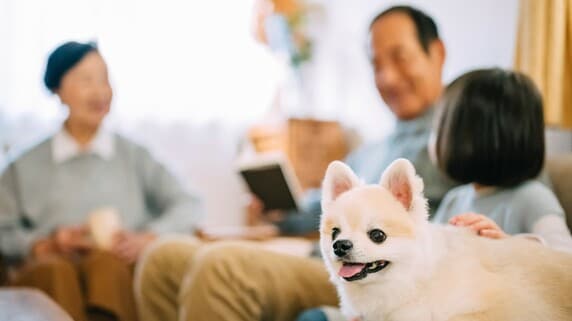 「夏休みが憂うつです」…年金月24万円・貯金900万円の60代夫婦、帰省する3人の孫に頭を抱えるワケ