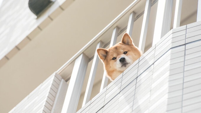 築古物件の満室経営を実現する「入居条件の緩和策」の具体例