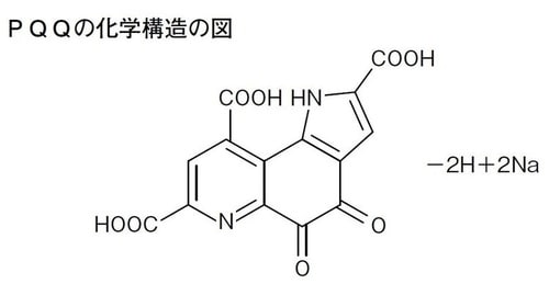 ピロロキノリンキノン二ナトリウム塩（PQQ）の特性とその機能性効果 池本一人（2016）ジャパンフードサイエンス（55）15-18