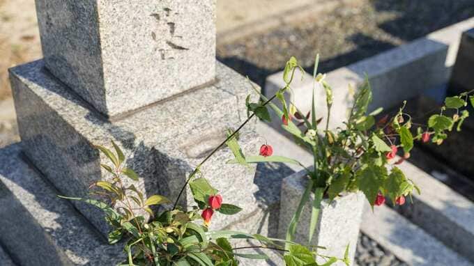 誰にも迷惑かけたくない…静かに広がる「超個人的なお墓」人気