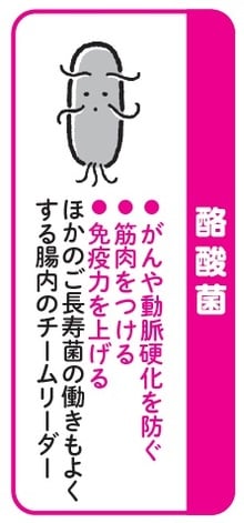 イラスト：佐々木恵子  出所：江田証著『60歳で腸は変わる　長生きのための新しい腸活』（新星出版社）