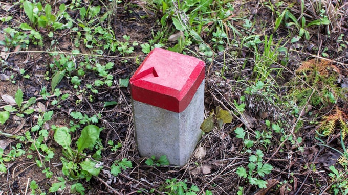 不動産、山林…均等な分割が難しい遺産をうまく分ける方法