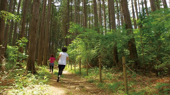 「地域活性化」をテーマに各地で開催されたアイデアソン