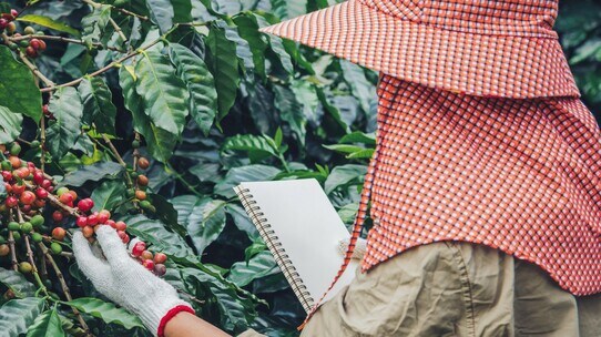 「安いコーヒーを楽しむ日本人」が知らない「貧困」の恐い実態
