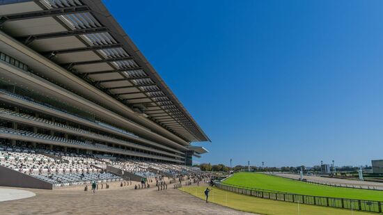 東京競馬場