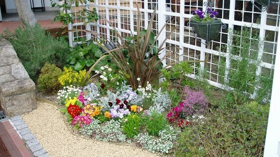 結婚しなくたっていいじゃない…アラフィフ独身会社員、しゃがみこんで地面を愛でる「ささやかな幸せ」