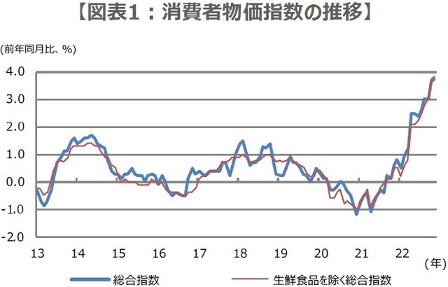 （注）データは2013年1月から2022年11月。いずれも消費税調整済みの指数。 （出所）総務省のデータを基に三井住友DSアセットマネジメント作成