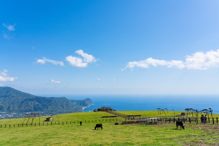 (※画像はイメージです／PIXTA)