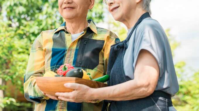 「理想の老後」のはずだった…〈年金月26万円・72歳夫婦〉地方移住6年で下した苦渋の決断