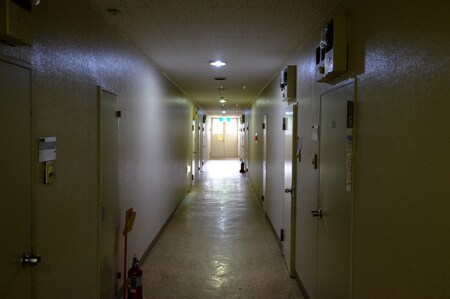 （※写真はイメージです／PIXTA）