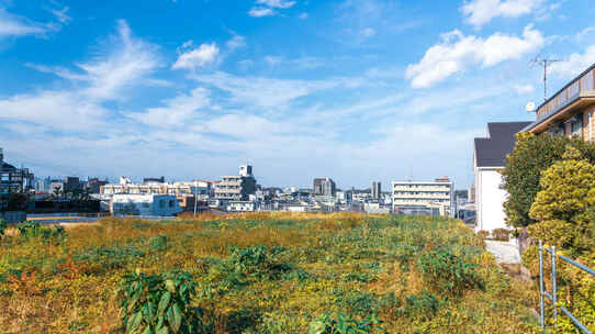 築古・木造2階建「嘘みたいな相続税が…」80歳母、怒涛の対策