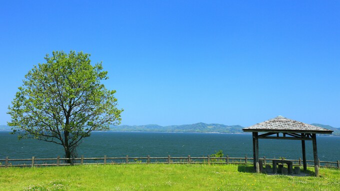 家族葬・直葬、樹木葬・散骨…さまざまな「葬儀」のスタイル