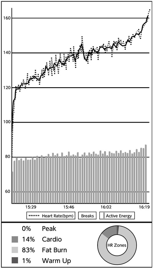 1時間のランニング 徐々にスピードアップし、走行距離12km 脈拍は120から160/分以上まで増加している (レース時の脈拍は150-155/分)