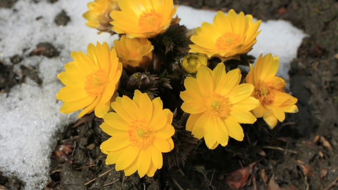 被相続人名義の預貯金や不動産に関する留意点とは？