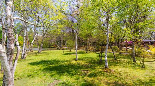 コロナ禍以降の新時代…「軽井沢・別荘」はどう持つべきか?