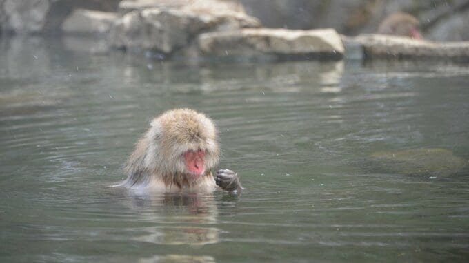 【動画】温泉を掘ったり引いたりするための「温泉権」を知ろう／ホテル・旅館業に強い弁護士が解説