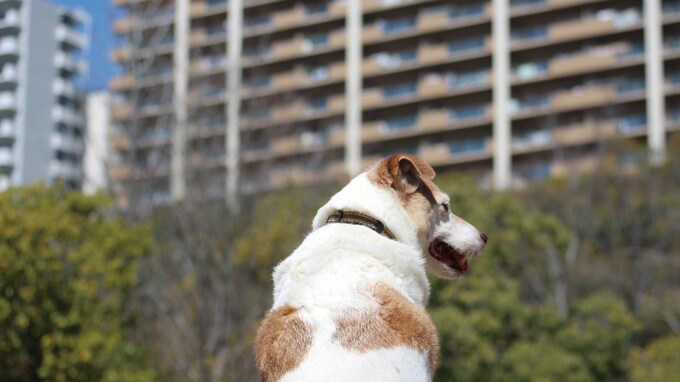 不動産投資で不利な「駅から遠い物件」の価値を高める方法