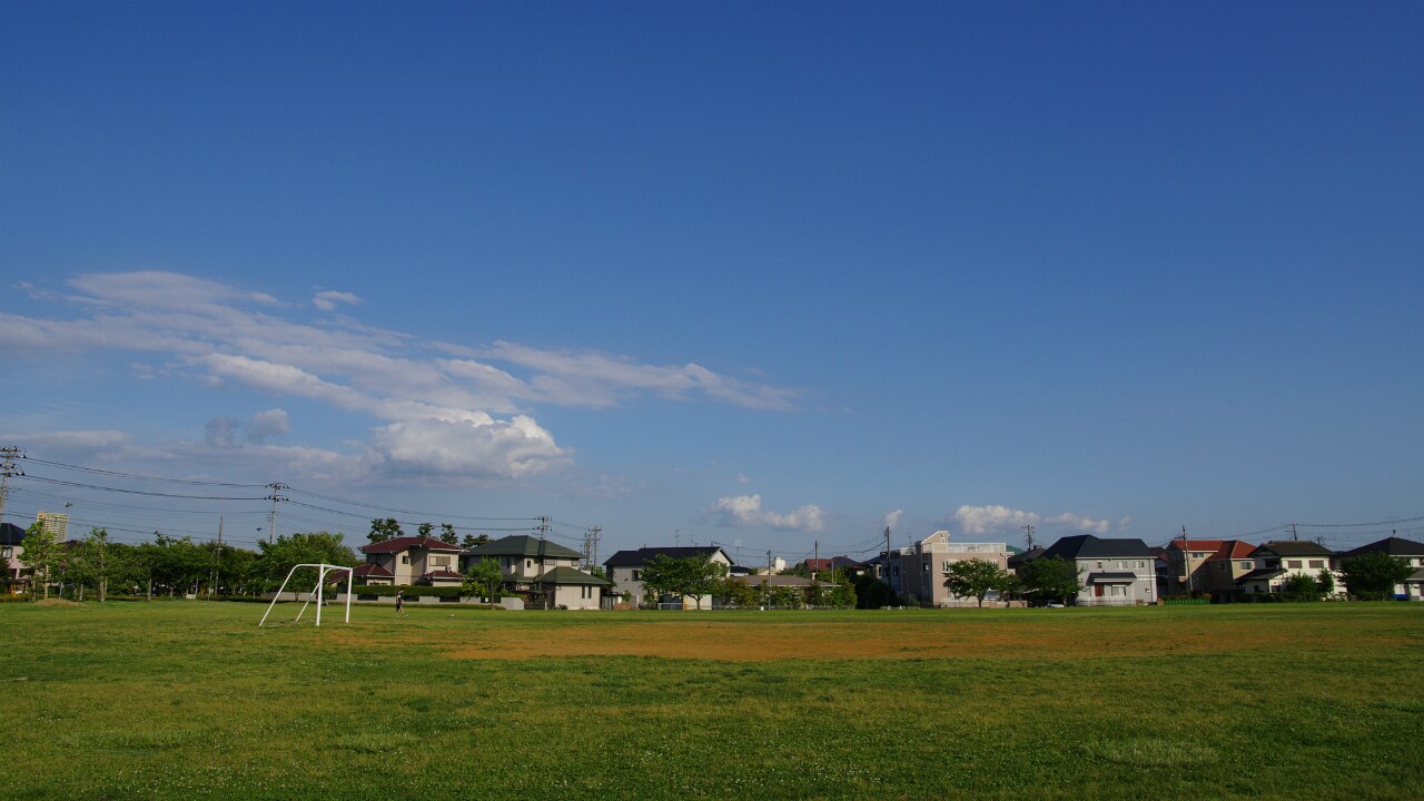 土地の評価額と相続税を激減させる「広大地評価」とは?