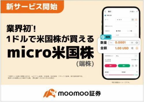 micro米国株