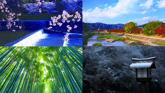 自然の中で育まれた日本らしさを、京都の暮らしの中で再認識する