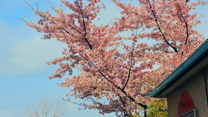 【不動産の怖い話】「あれっ、勝手に安売りされている！」…専任媒介契約の恐怖